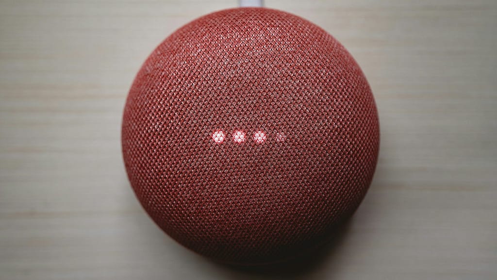 choosing the right voice assistant